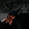2000jojojojo
