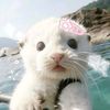 diyauhh_cus_whynot
