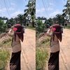 linasaputri00