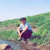 ahmad.havalany