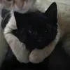 s_mojpookie
