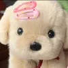 minthuw.abc