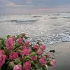 fatima_26_02