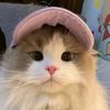 lovymetta