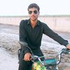 ali.gul5074