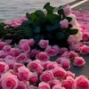 user3352617617818
