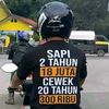 peluru.darat7