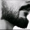 hammouda.2