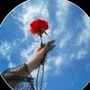 user5914559882006