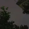 danilqell0l