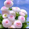 mohammnnnm.masri406