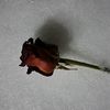 qerib_xeyal8