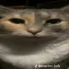 skibidi_sigma_64