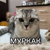 vikaaan064