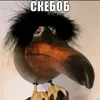 artmccbqgdj