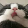 d4rr_13