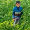 umekalsoom7356