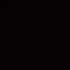 fabrii_bzn