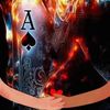 user8313007546914