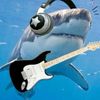 jjloves_sharks571375