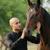 haseeb71031