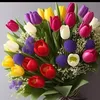 simsima.ourtsfi75