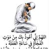 bi.lal8658