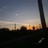mimi_125458