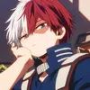 shoto.todoroki244