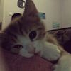 lil_xh5