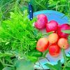 salar.khan8349