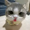 hellomayma84