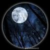 abdullahyaseen481