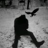 nightver12