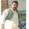 diljankhan855