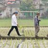 Zulhas_pedulirakyat