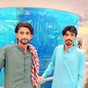 ali.murad4814