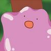 ditto_exists