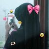 cegilpacar_noah