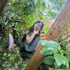 phuong_an_b