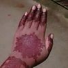 rakib5165