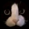 nickery.liszha