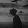 ._5_.d