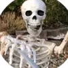 _.y0ungb0idrjz_
