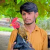 ateeqkalyar5