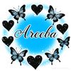 user3020828391962