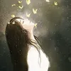 kemyni2401zuizehongquao