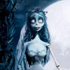 luna153624