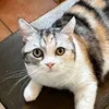 user592470124