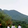 vanz_918